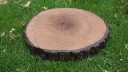 Kamień elewacyjny -  Krążek 25 betonowy drewnopodobny - JASNY