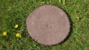 Kamień elewacyjny -  Krążek 25 betonowy drewnopodobny - CIEMNY