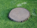 Kamień elewacyjny -  Krążek 50 betonowy drewnopodobny - CIEMNY