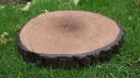 Kamień elewacyjny -  Krążek 42 betonowy drewnopodobny - JASNY