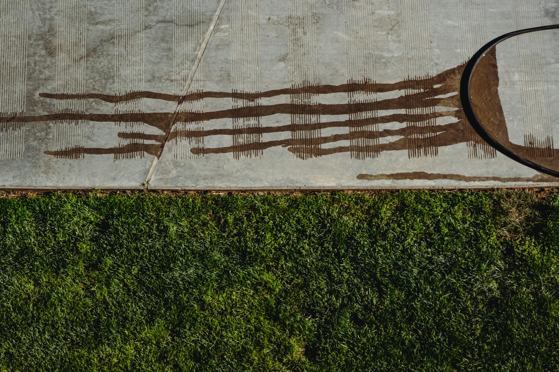 Mokra betonowa płyta tarasowa z wężem ogrodowym przy trawniku