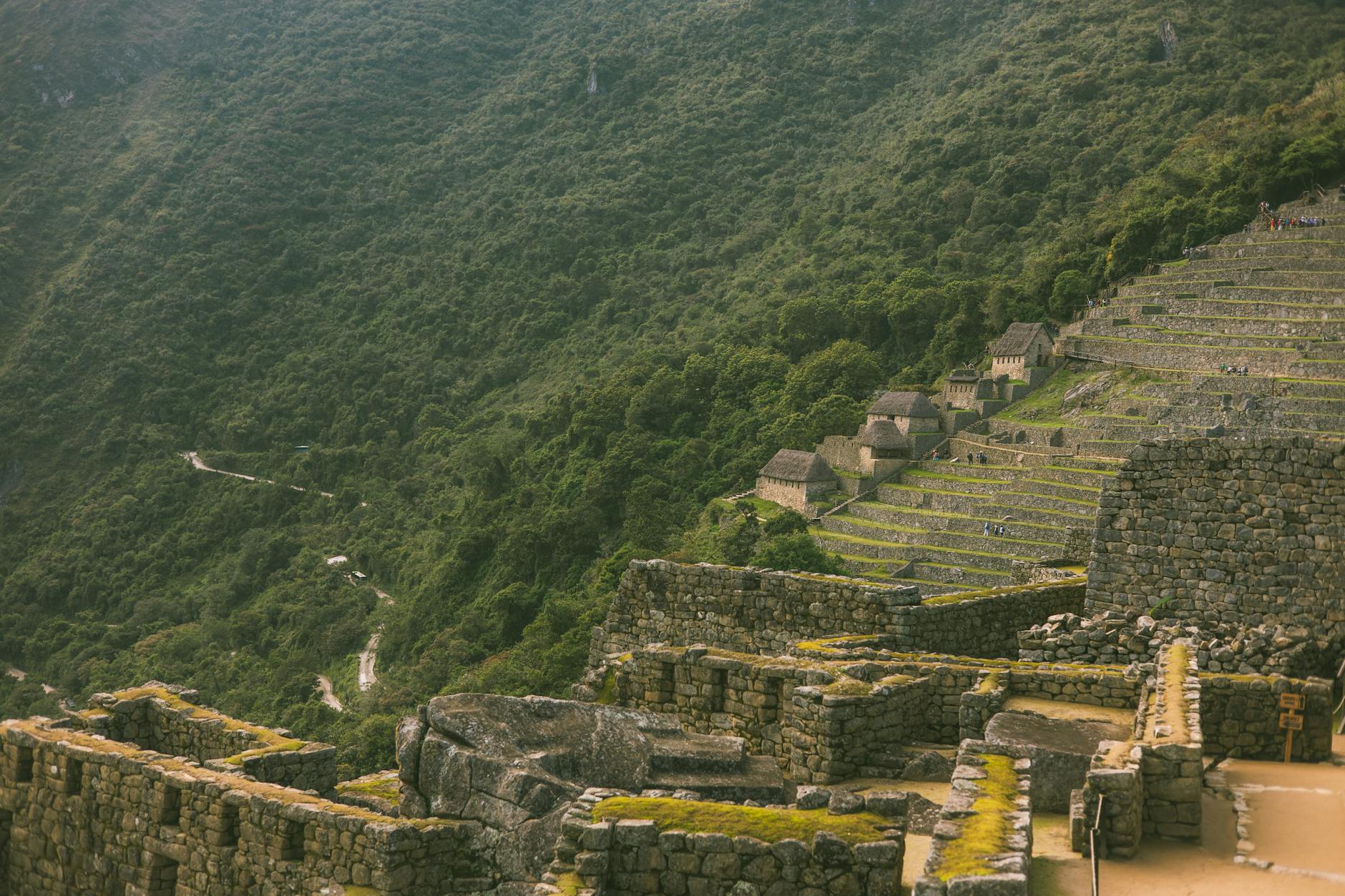 Kamienne tarasy Machu Picchu w górzystym, zielonym krajobrazie